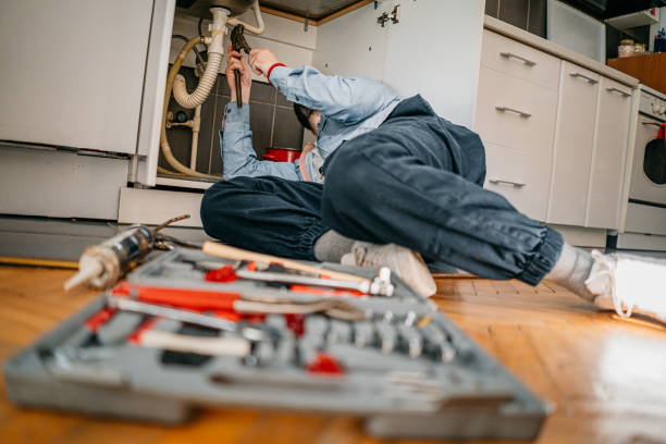 Best Commercial Plumbing Services  in Wayne, IL