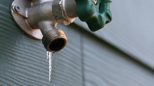 Best Boilers & Radiators  in Wayne, IL