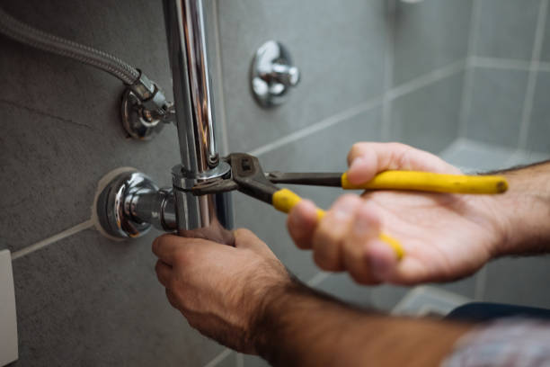 Trusted Wayne, IL Plumbing Experts