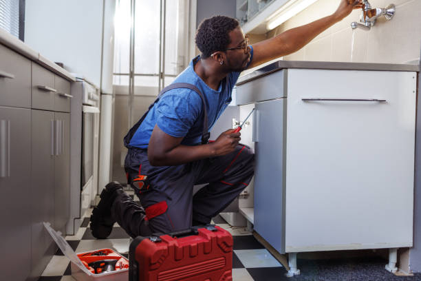 Best Residential Plumbing Services  in Wayne, IL