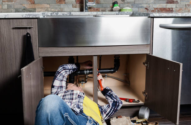 Best Affordable Plumbing Services  in Wayne, IL