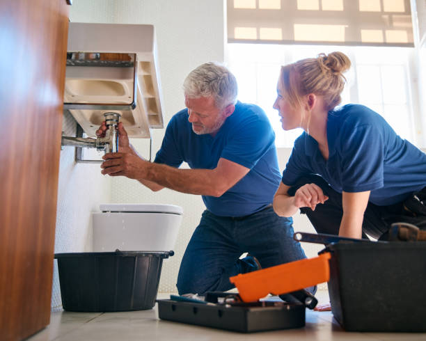 Best Clogged Drain Plumber  in Wayne, IL