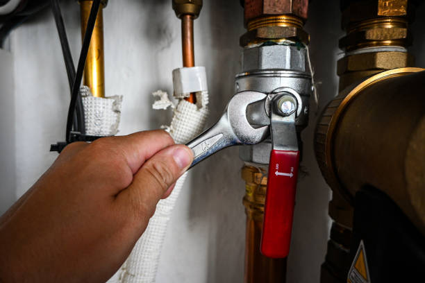 Best Plumbing Inspection Services  in Wayne, IL